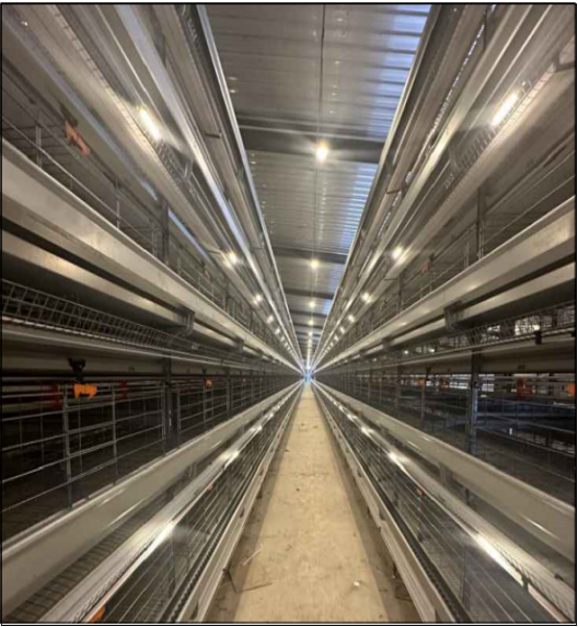 微信图片_20260104140448