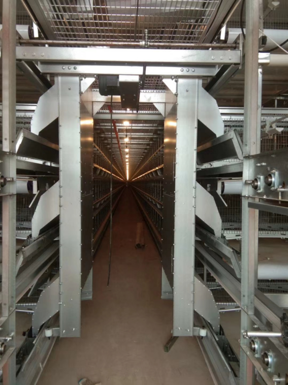 微信图片_20260104160815